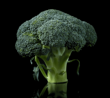 Pic Post Nutrition 3 360x320